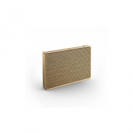 Loa Bang & Olufsen Beosound Level